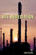 Fundamentals of Site Remediation