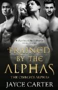 Trained by the Alphas