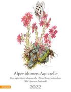Alpenblumen-Aquarelle 2022