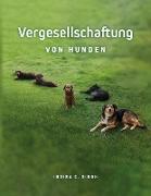 Vergesellschaftung von Hunden