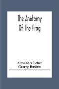 The Anatomy Of The Frog