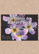 Edition Tirta: Kartenset – Die Blüten des Edward Bach