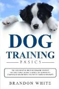 Dog Training Basics