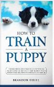 How to Train a Puppy