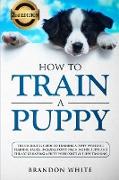 How to Train a Puppy