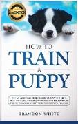 How to Train a Puppy