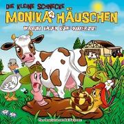 Die Kleine Schnecke Monika Häuschen 60: Warum kauen Kühe immerzu?