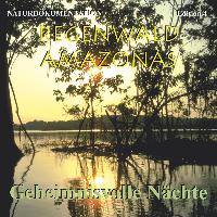 Regenwald Amazonas 4. Geheimnisvolle Nächte