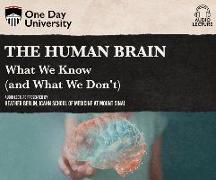 The Human Brain: What We Know (and What We Don't)