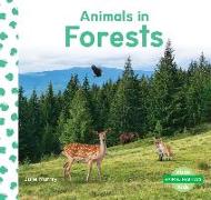 Animals in Forests