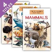 Field Guides for Kids (Set)