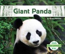 Giant Panda