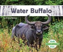 Water Buffalo