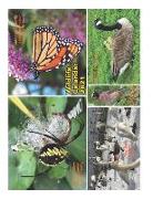 Wildlife Calendar 2021