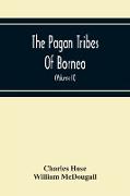 The Pagan Tribes Of Borneo, A Description Of Their Physical, Moral Intellectual Condition, With Some Discussion Of Their Ethnic Relations (Volume Ii)