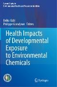 Health Impacts of Developmental Exposure to Environmental Chemicals