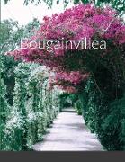 Bougainvillea