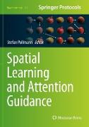 Spatial Learning and Attention Guidance