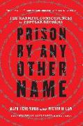 Prison by Any Other Name: The Harmful Consequences of Popular Reforms