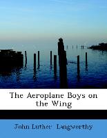 The Aeroplane Boys on the Wing