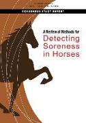 A Review of Methods for Detecting Soreness in Horses