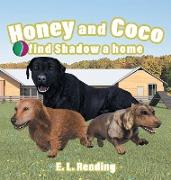 Honey and Coco find Shadow a home