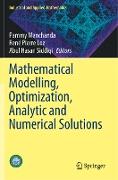 Mathematical Modelling, Optimization, Analytic and Numerical Solutions