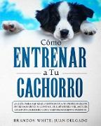 Cómo entrenar a tu cachorro