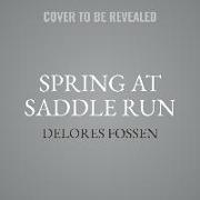 Spring at Saddle Run Lib/E