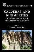 Calderas and Ignimbrites of the Central Sector of the Mexican Volcanic Belt: Volume 11