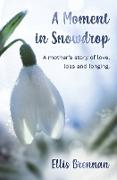A Moment in Snowdrop