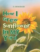 How I Grew Sunflower In My Yard