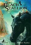 The Black Stallion