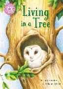 Reading Champion: Living in a Tree