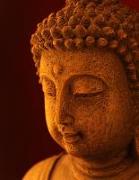 Buddhism and Conflict