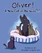 Oliver! A New Cat in the House?!!!