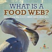 What is a Food Web? | Science of Living Things Grade 4 | Children's Science & Nature Books