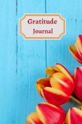 Gratitude Iournal for teens and adults