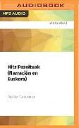 Hitz Pozoituak (Narración En Euskera): Premio Edebé de Literatura Juvenil 2011