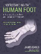 Understanding the Human Foot: An Illustrated Guide to Form and Function for Practitioners