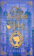 12 Days of Christmas in Stickleback Hollow: A British Victorian Cozy Mystery
