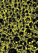 Gathering of Skulls Journal - Black and Yellow