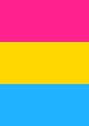 Pansexual Pride Flag Journal