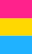 Pansexual Pride Flag Journal