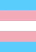 Transgender Pride Flag Journal