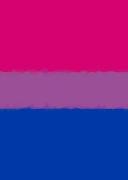 Bisexual Pride Flag Journal