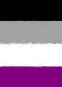 Asexual Pride Flag Journal