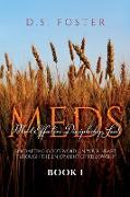 Most Effective Discipleship Seeds (MEDS)