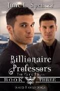 Billionaire Professors (The Geek Twins): Clean Romance