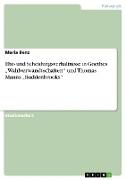 Ehe- und Scheidungsverhältnisse in Goethes ¿Wahlverwandtschaften¿ und Thomas Manns ¿Buddenbrooks¿